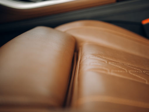 LEATHER-DYEING