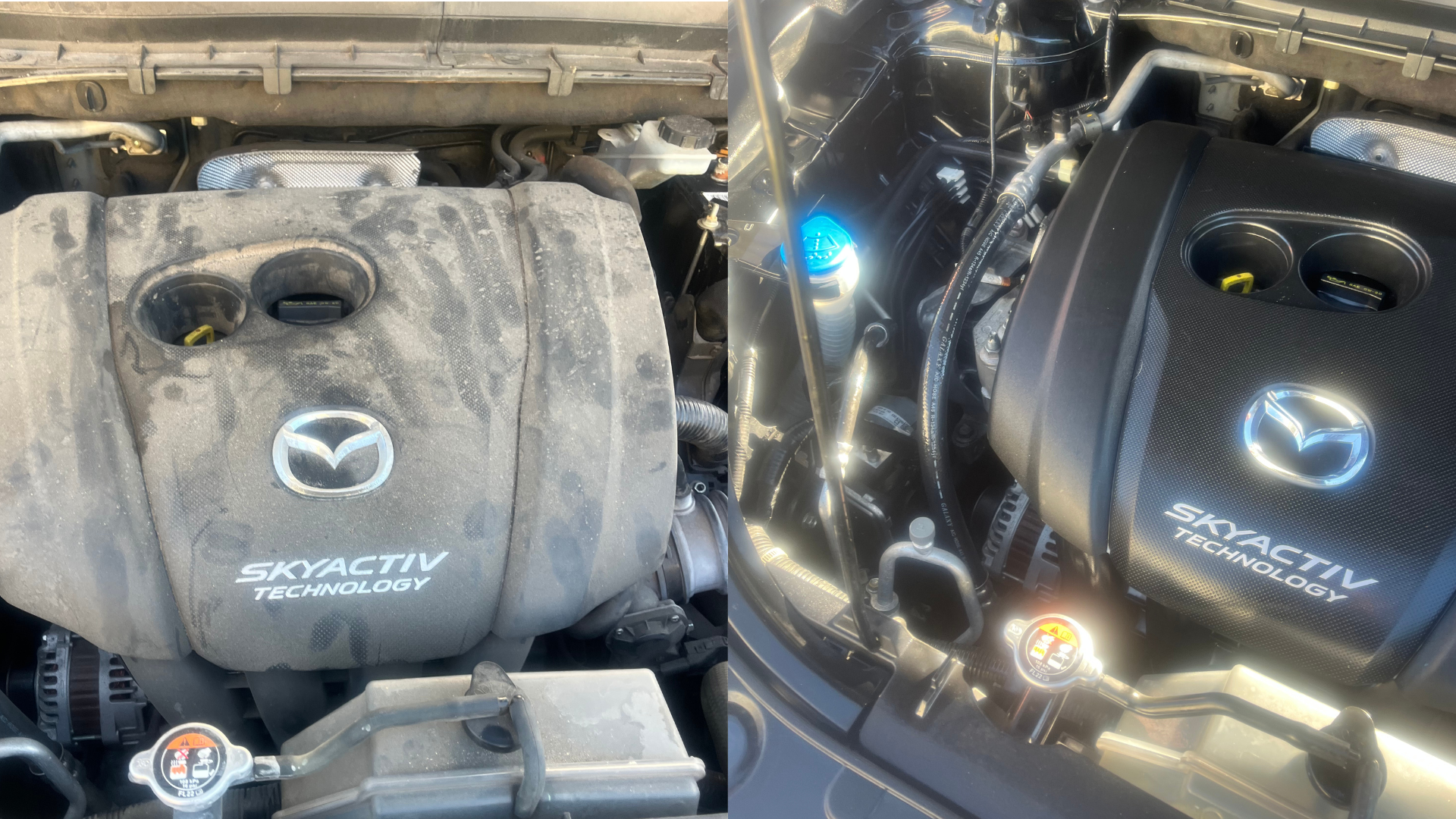 enginebayclean 1